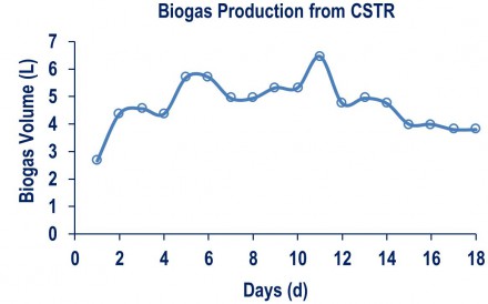 Biogas production from CSTR
